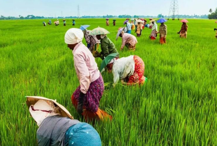 After ten years, the agricultural census work started in Sri Lanka