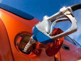 Government requests public to reduce fuel consumption