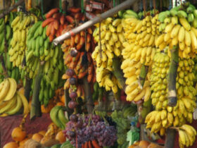 New QR coding system to identify non-poisonous fruits