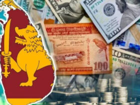 Problems persisting in the transfer of assets of Sri Lankans living abroad